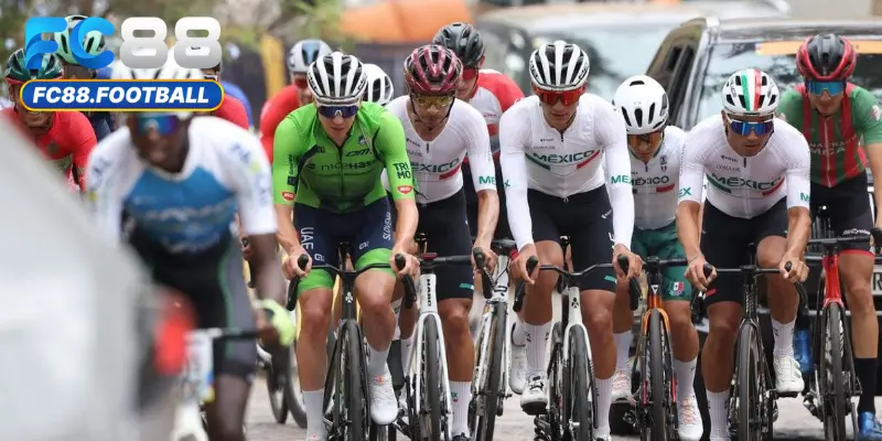 Bí quyết chơi cá cược đua xe đạp bất bại